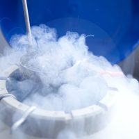 Замораживание яйцеклеток Криоконсервация яйцеклеток